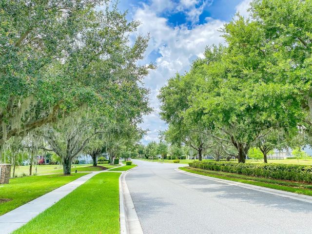 11734 WATER RUN ALLEY, Windermere, FL 34786
