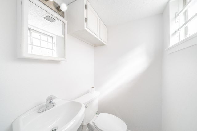 3502 Pine Meadow Lane, Houston, TX 77039