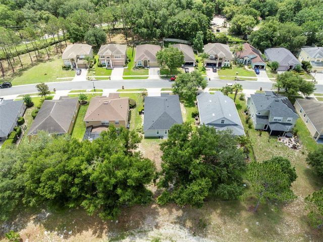 33827 TERRAGONA DRIVE, Sorrento, FL 32776