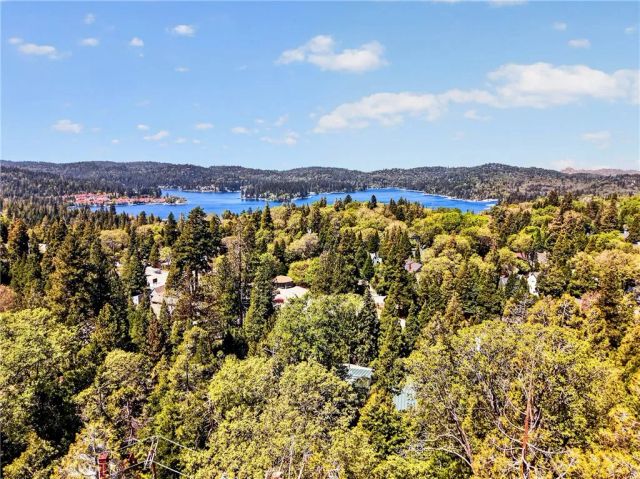 176 Fir Terrace, Cedar Glen, CA 92321