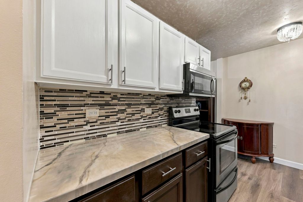 420 S HOME Avenue 109N, Oak Park, IL 60302 — photo 4