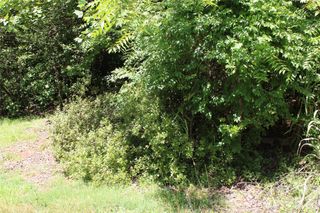 3041 Bills Creek Road, Lake Lure, NC 28746