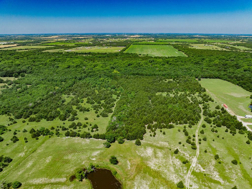 TBD FM 36, Greenville, TX 75401