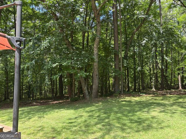 40 Frances Turn, Sharpsburg, GA 30277