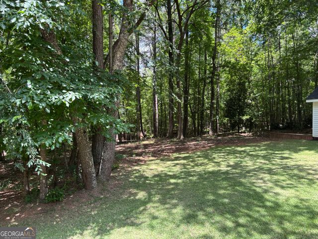 40 Frances Turn, Sharpsburg, GA 30277