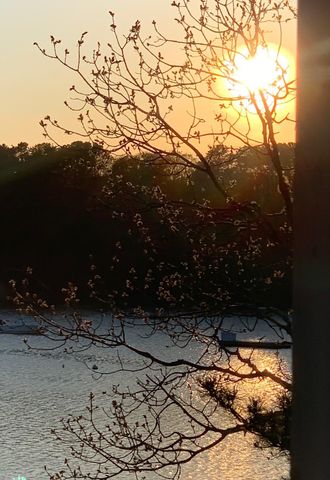 36 Little Neck Lane, Mashpee, MA 02649