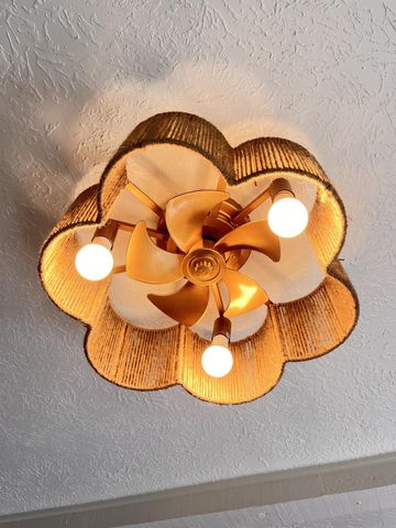 16450 Hibiscus Lane, Friendswood, TX 77546