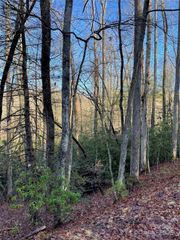 000 Old CCC Road, Hendersonville, NC 28739