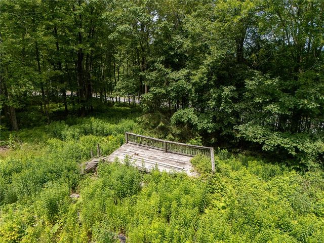 23 Davis Lane, Hamden, NY 13782