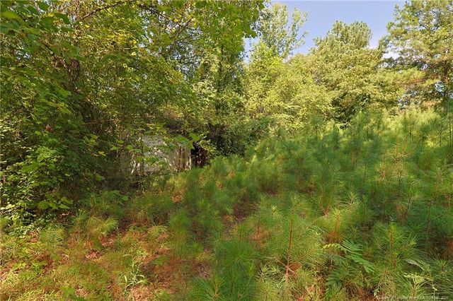 121 Buffalo Street, Fayetteville, NC 28303