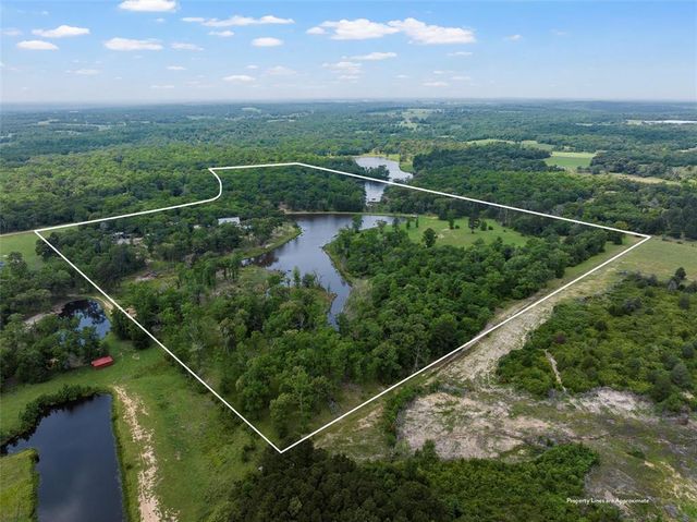 18404 County Road 264, Oakwood, TX 75855