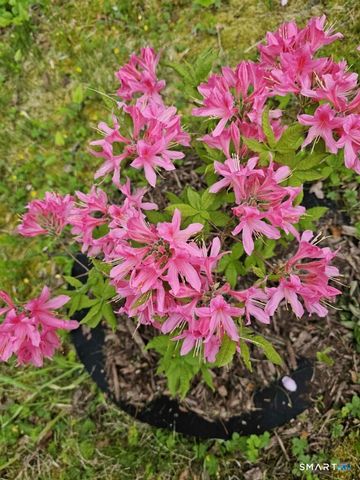 455 Chesterfield Road, Montville, CT 06370