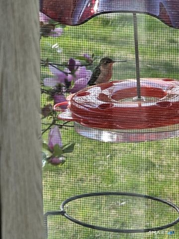 455 Chesterfield Road, Montville, CT 06370