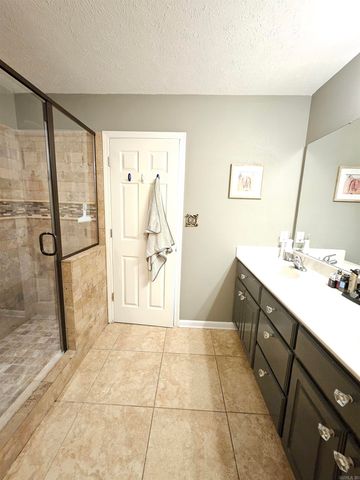 19 Alfred Cove, Conway, AR 72034