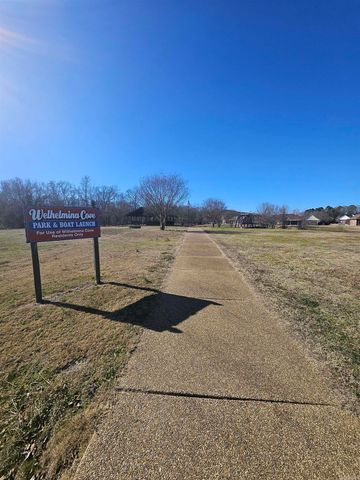 19 Alfred Cove, Conway, AR 72034