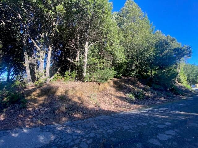 85 Carson Court, Shelter Cove, CA 95589