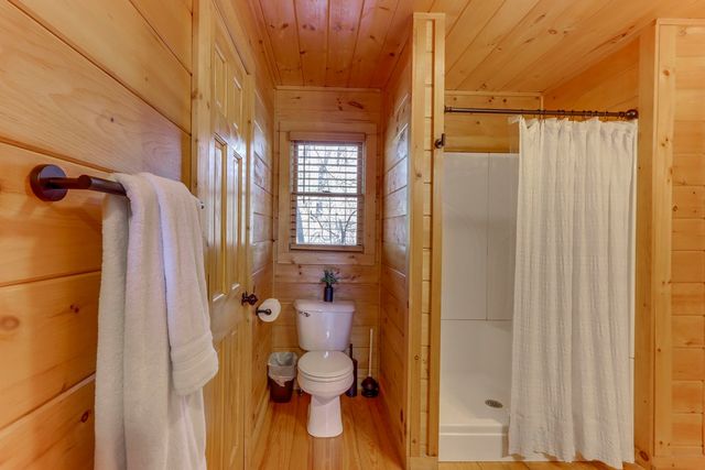 216 Brookhaven Trail, Blue Ridge, GA 30513