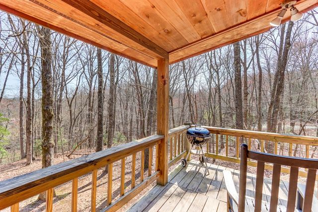 216 Brookhaven Trail, Blue Ridge, GA 30513