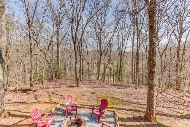 216 Brookhaven Trail, Blue Ridge, GA 30513