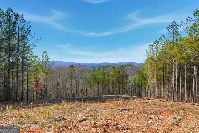 LOT 7 Springfield Parkway, Ellijay, GA 30540