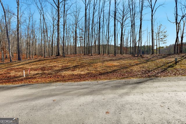 LOT 7 Springfield Parkway, Ellijay, GA 30540