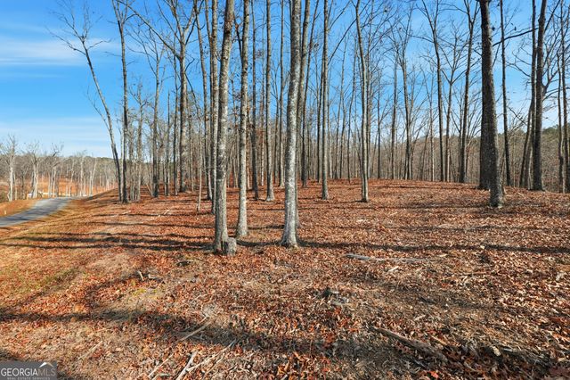 LOT 7 Springfield Parkway, Ellijay, GA 30540