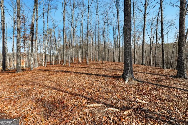 LOT 7 Springfield Parkway, Ellijay, GA 30540