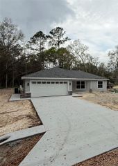 8 BAY PASS TERRACE, Ocklawaha, FL 32179