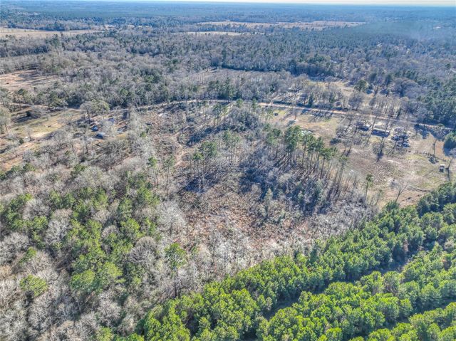 2757 E Capps Road, Livingston, TX 77351