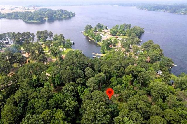 299 SOUTHSHORE DR, Lone Star, TX 75668