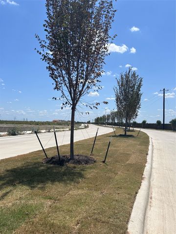 9909 Iron Wood Drive, Ponder, TX 76259