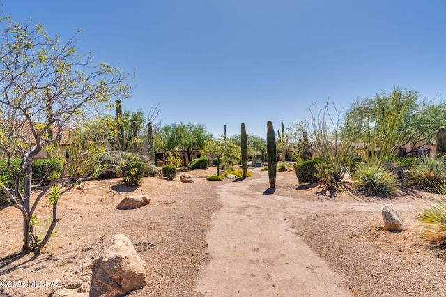 8158 N Circulo El Palmito, Tucson, AZ 85704