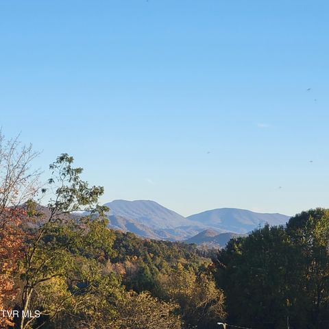 00 B Johnson Road, Mountain City, TN 37683