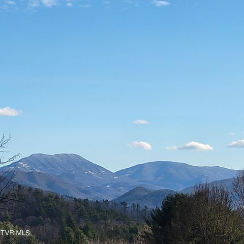 00 B Johnson Road, Mountain City, TN 37683