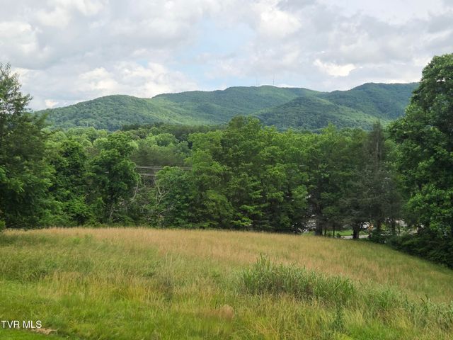 1305 College Heights Road, Johnson City, TN 37604