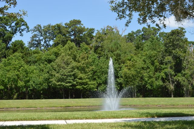 3275 CLIMBING IVY Trail, Jacksonville, FL 32216