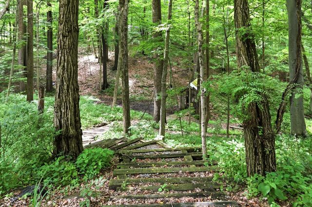 8820 Mud Creek Road, Indianapolis, IN 46256