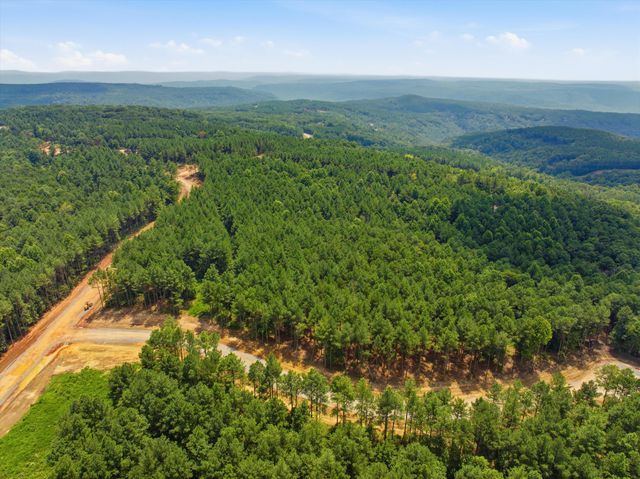 2023 Crescent Court, Guild, TN 37340