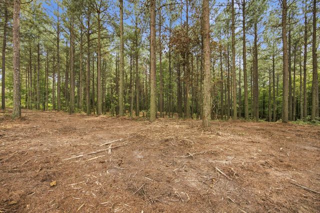 2023 Crescent Court, Guild, TN 37340