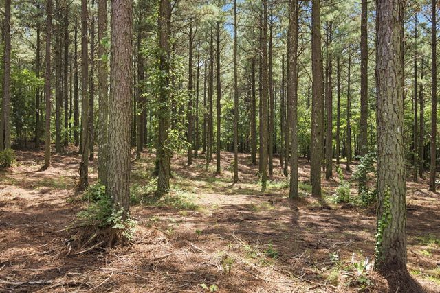 2023 Crescent Court, Guild, TN 37340