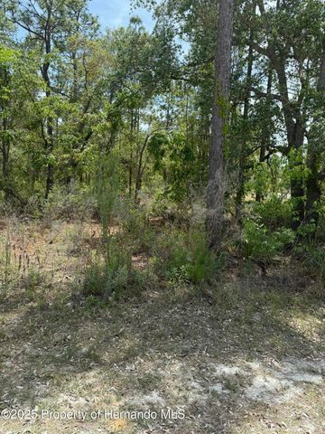 0 Snow Goose Avenue, Weeki Wachee, FL 34614