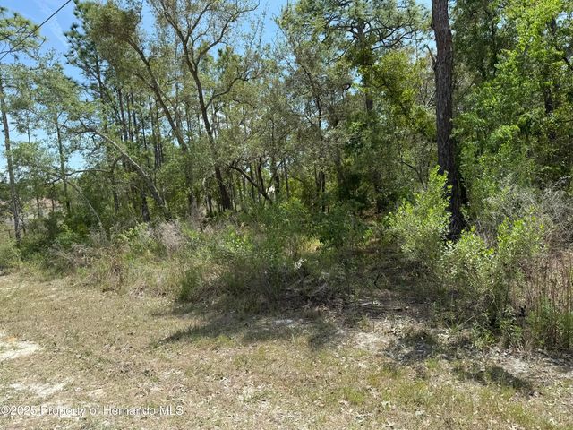 0 Snow Goose Avenue, Weeki Wachee, FL 34614