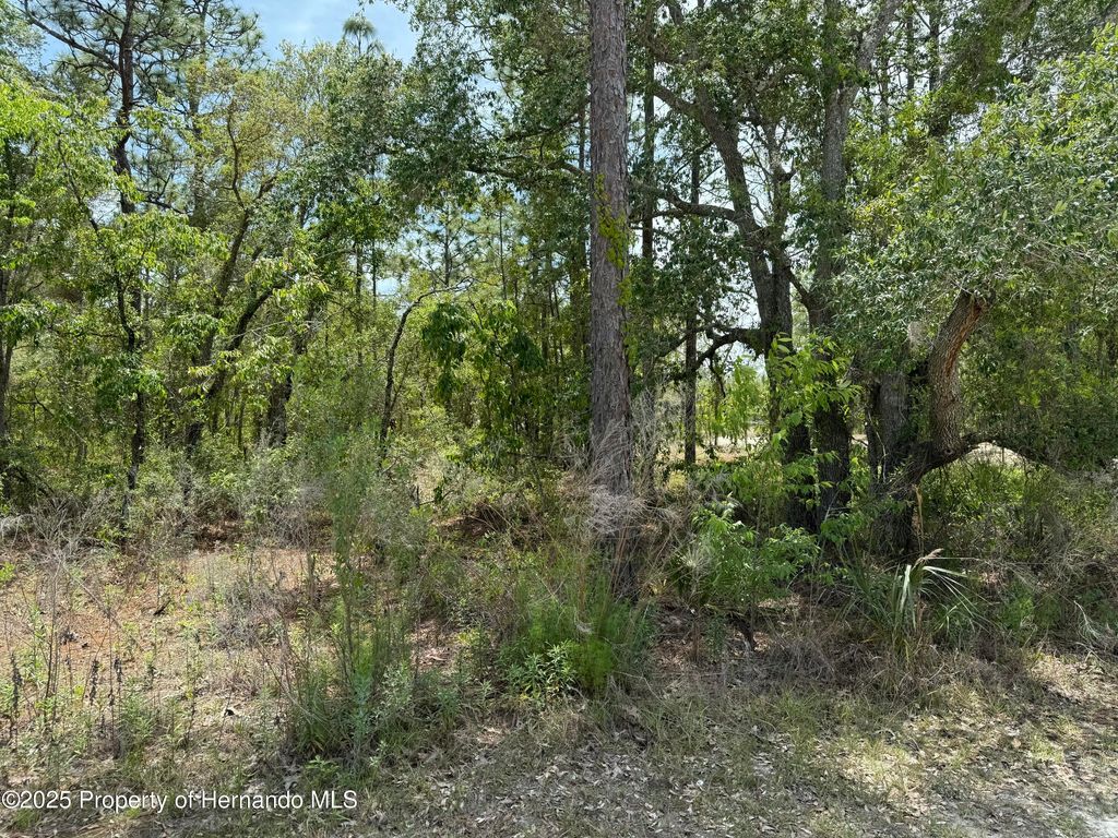 0 Snow Goose Avenue, Weeki Wachee, FL 34614