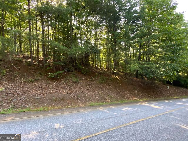 0 Zeppelin Strasse, Helen, GA 30545