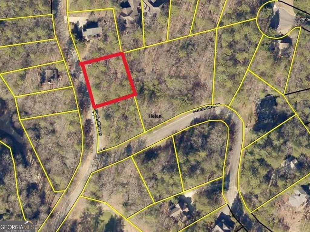 0 Zeppelin Strasse, Helen, GA 30545