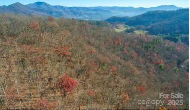 Lot 20 Brer Rabbit Trail 20, Waynesville, NC 28785
