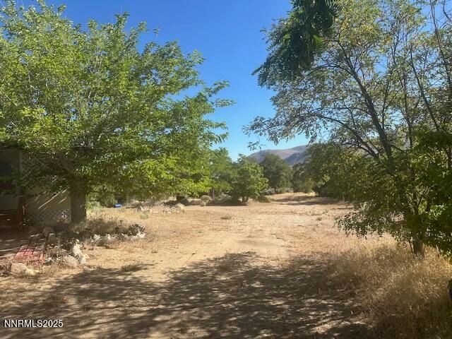 147 Shetler Drive, Coleville, CA 96107