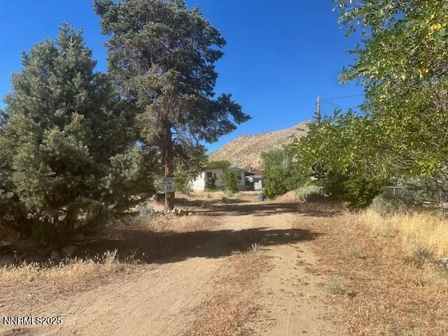 147 Shetler Drive, Coleville, CA 96107
