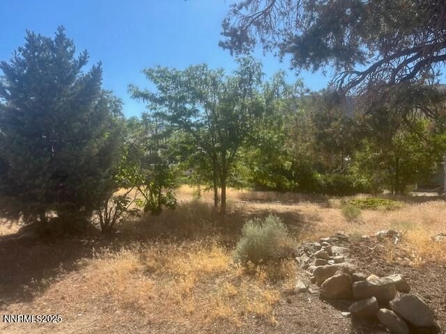 147 Shetler Drive, Coleville, CA 96107