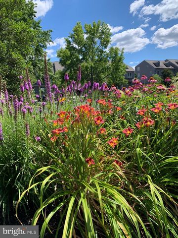 118 NORTH EAST ISLES DR, North East, MD 21901